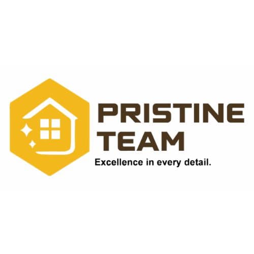 The Pristine Team Ltd logo